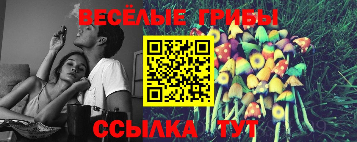 Сызрань  Псилоцибиновые грибы ЛСД  Вход с VPN  Галлюциногенные грибы Cubensis 