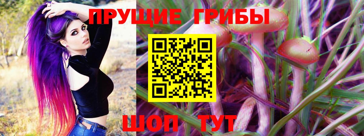 Псилоцибиновые грибы Psilocybe Сызрань
